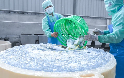 12compressed 12compressed